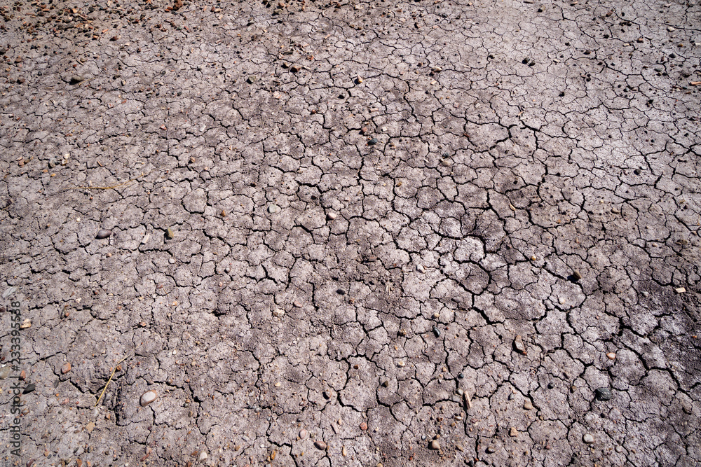 Dry, barren, cracked soil of the Petrified Forest National Park and Painted Desert in Arizona USA Dry, barren, cracked soil of the Petrified Forest National Park and Painted Desert in Arizona USA
