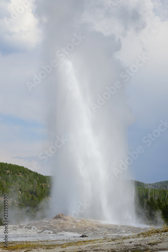 Eruption of the Old Faithful Geyser in Yellowstone National Park  Wyoming  United States