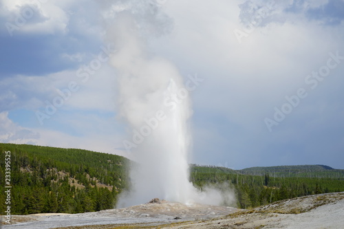 Eruption of the Old Faithful Geyser in Yellowstone National Park  Wyoming  United States