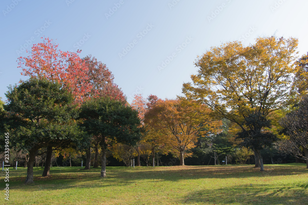 福岡市 大濠公園の風景