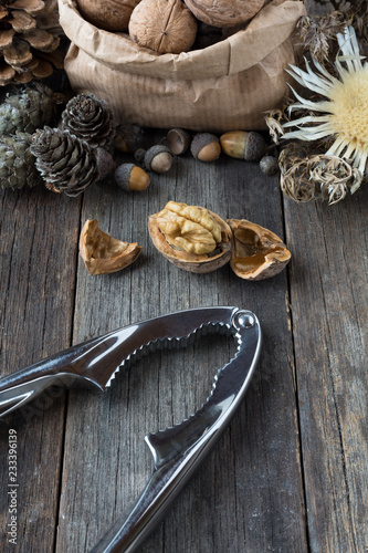 Autumnal arranged walnuts and a nutcracker on a wooden table, a bag full of nuts with props photo