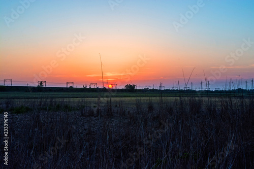 Pavia  sunset in the fields  Italy