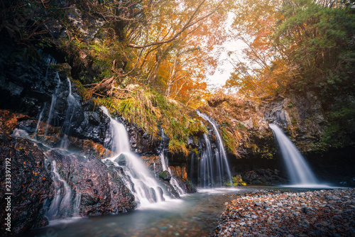 Waterfall with autumn foliage in Fujinomiya  Japan.