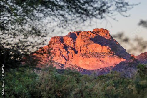 Arizona desert landscape