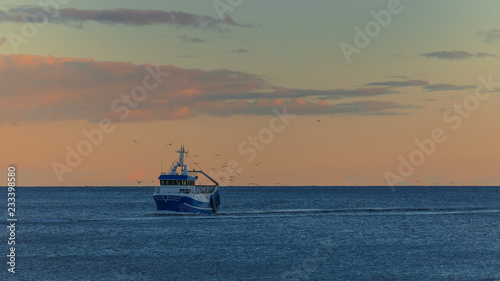 Картината върху платно A trawler coming home at sunset followed by hungry seagulls