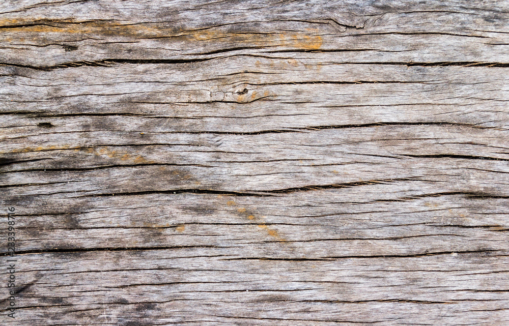 Naklejka premium Old wood plank texture background 