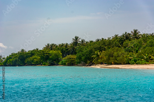 Fototapeta Naklejka Na Ścianę i Meble -  Stunning tropical beach with white sand in the Maldives. a great place to dive into meditation and Nirvana
