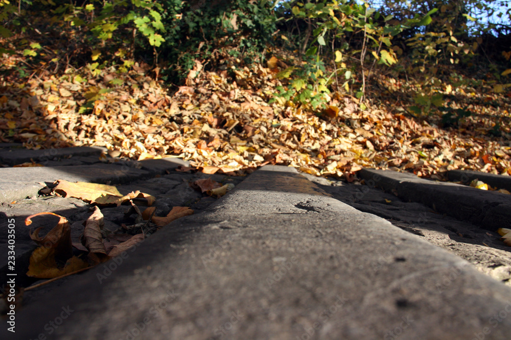 Obraz premium Les marches de Lorette en automne