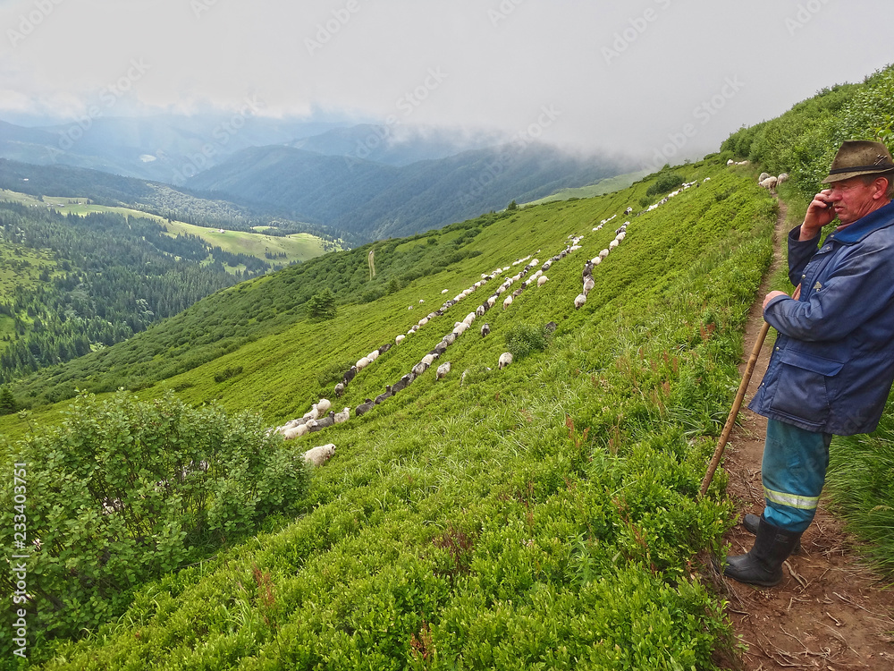 hiking in the mountains