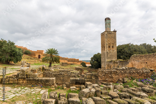 Les ruines du Chellah