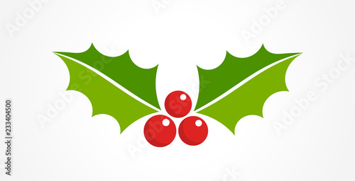 Holly berry Christmas icon. Element for design