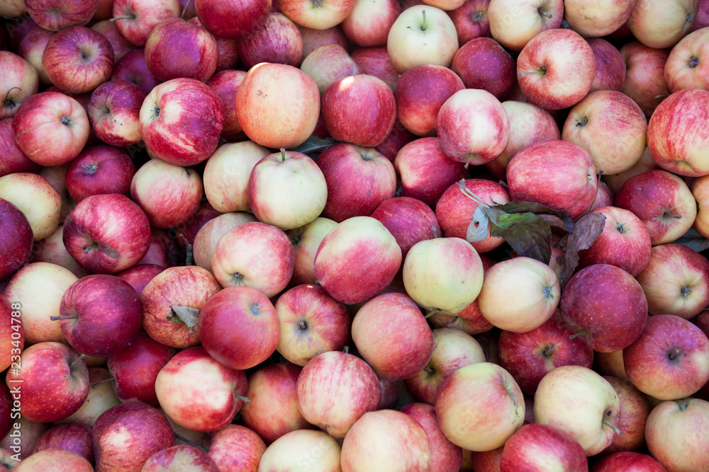 Fresh red apples on the market . Many apples a great backdrop for a fruit store. Fresh red apples on the market . Many apples a great backdrop for a fruit store.