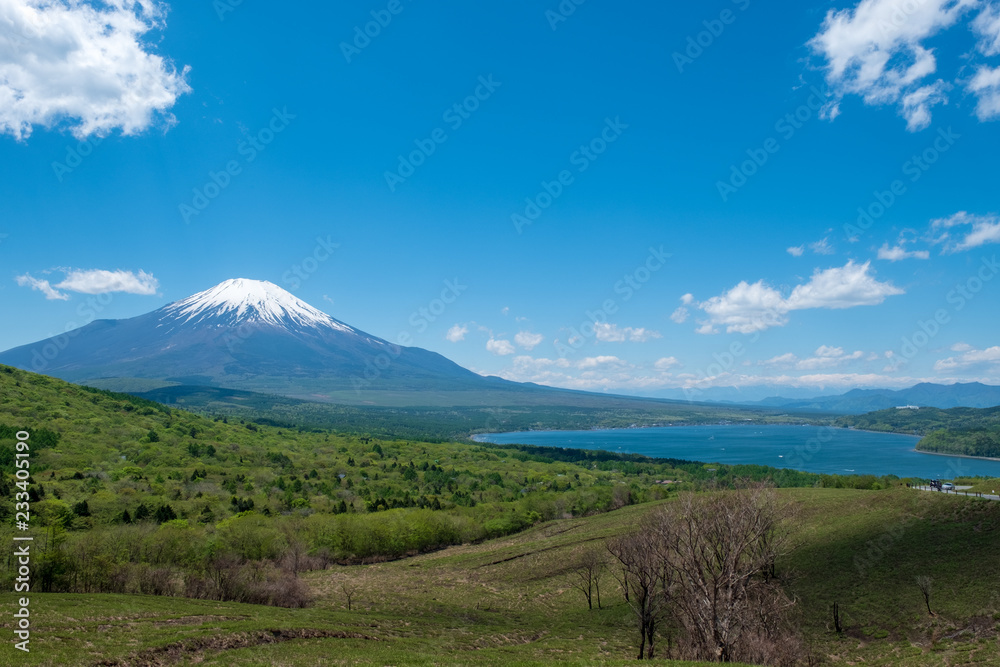 パノラマ台付近から見る「春の山中湖と富士山」