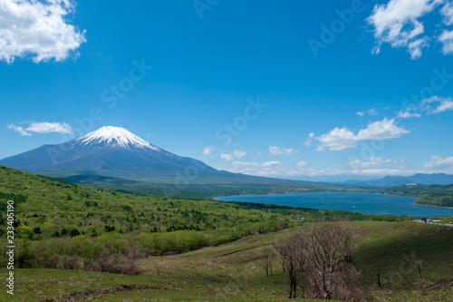パノラマ台付近から見る「春の山中湖と富士山」