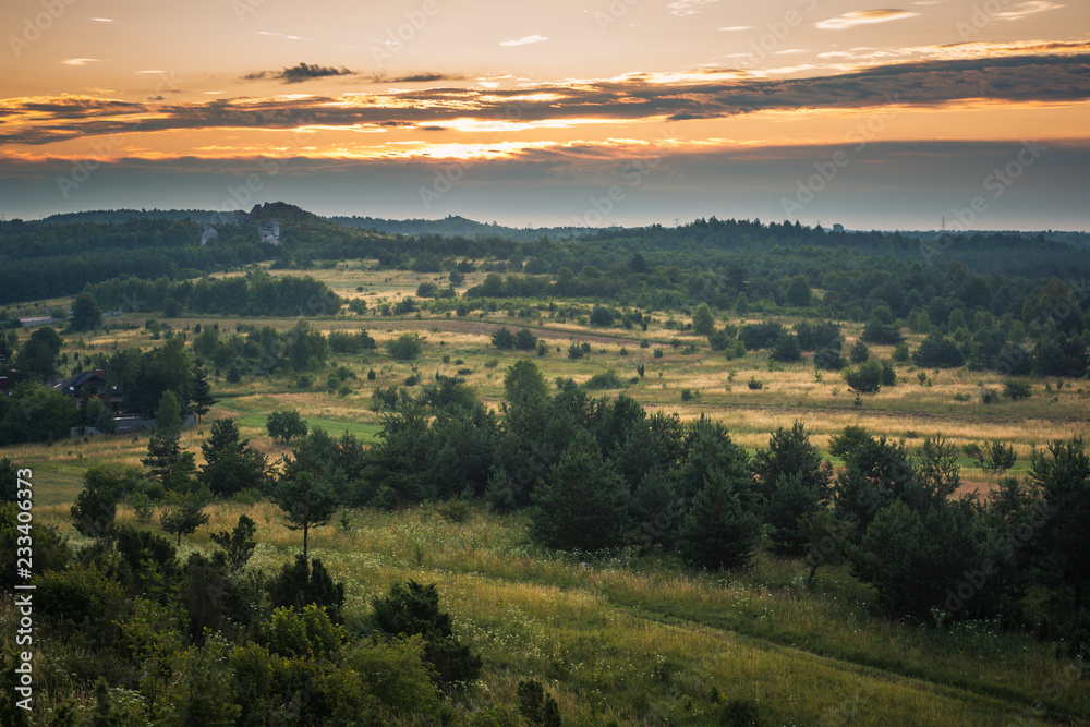 Fototapeta premium View from Mountain Biaklo near Olsztyn in Jura Krakowsko-Czestochowska, Poland