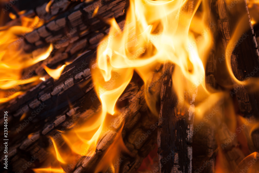Fototapeta premium Beautiful fire with flames charred wood