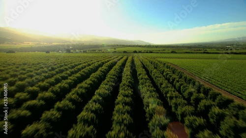 Aerial California USA arable farmland crops agricultural Landscape photo