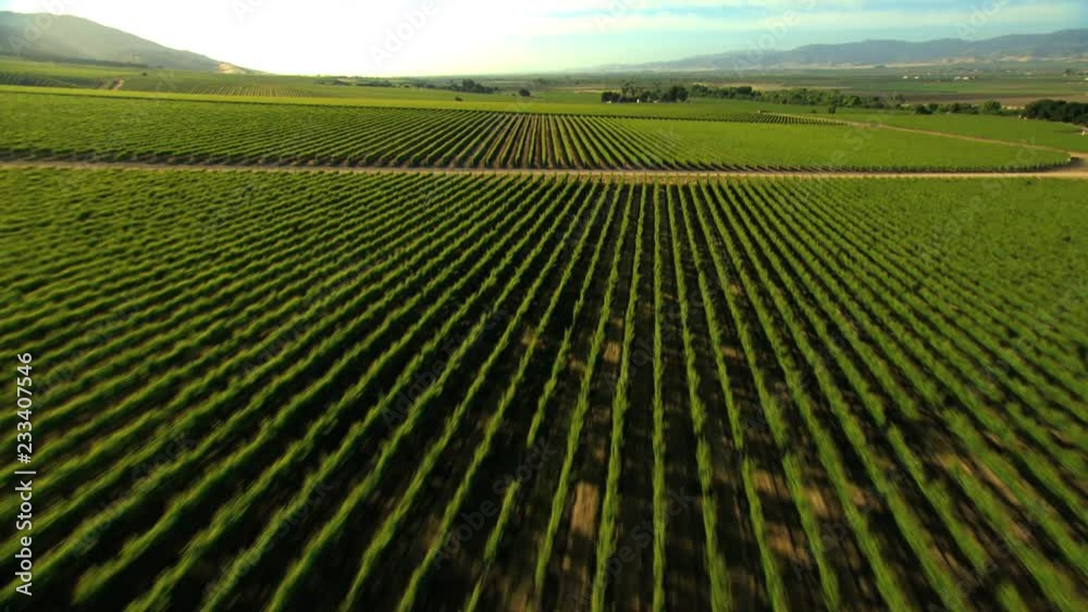 Aerial California USA arable farmland crops agricultural Landscape Aerial California USA arable farmland crops agricultural Landscape