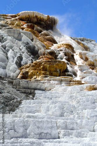 Natural Geyser in Yellowstone National Park