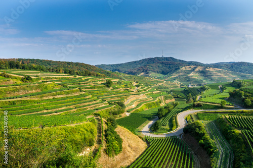 Germany, Famous Kaiserstuhl terraces vineyard nature landscape