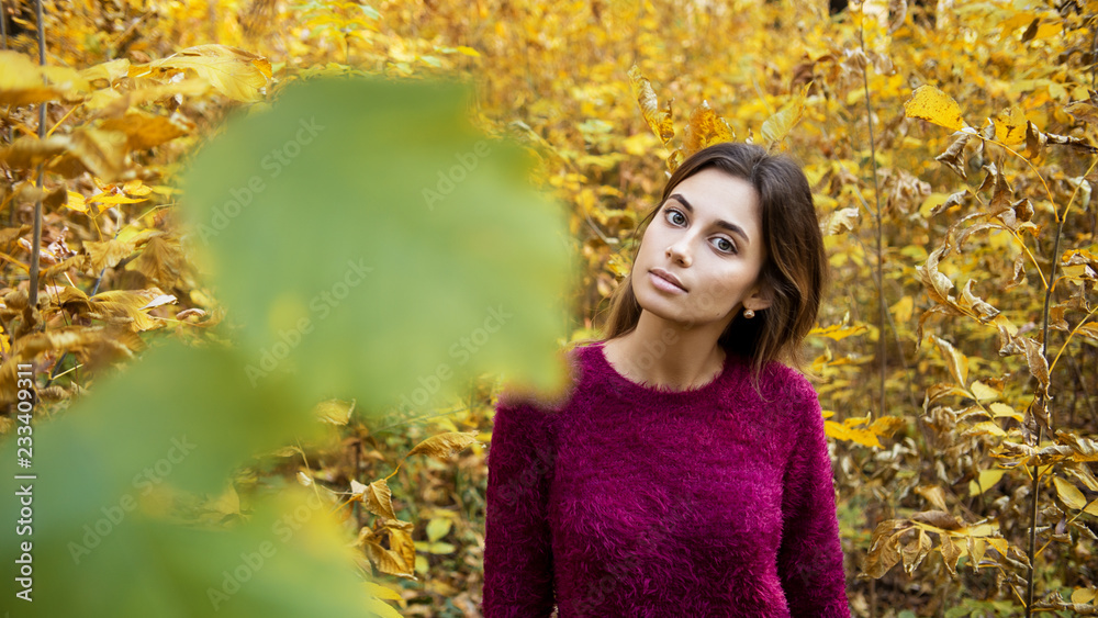 Young woman at fall, looking in camera, shallow depth of field Young woman at fall, looking in camera, shallow depth of field
