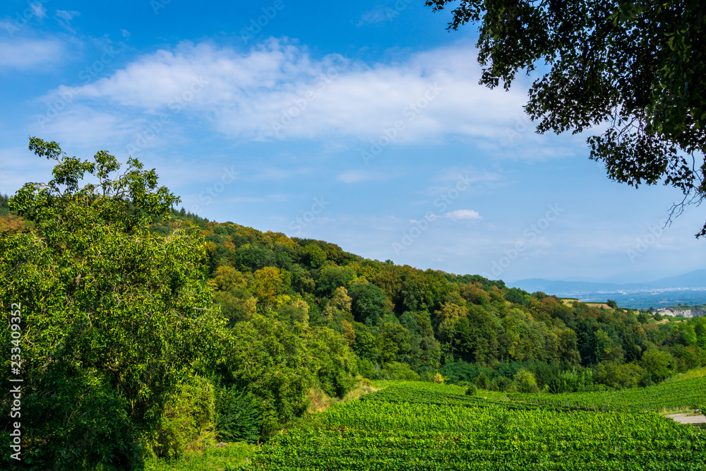 Germany, Colorful tree nature landscape of Kaiserstuhl paradise region