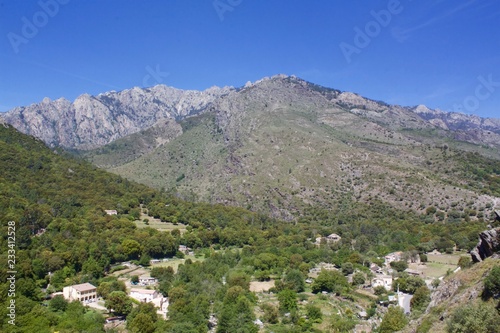 mountain landscape with flowers