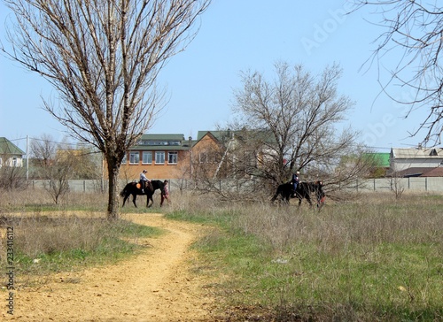 Fototapeta Naklejka Na Ścianę i Meble -  teenagers ride horses