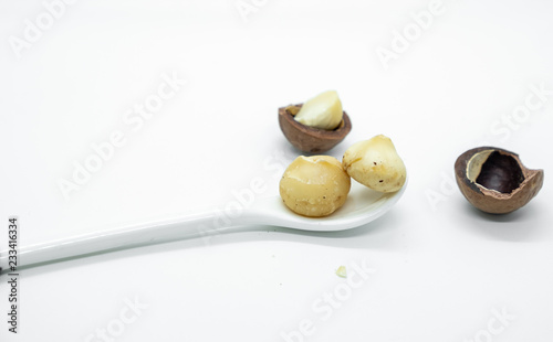 Macadamia nuts with hard shell on white isolated