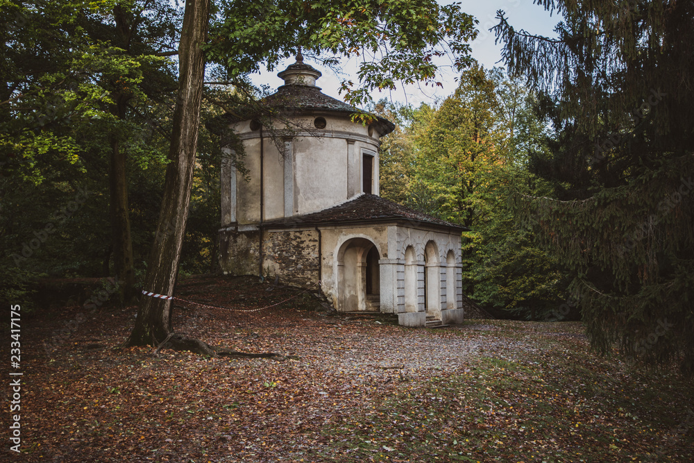 Obraz premium old house in the forest