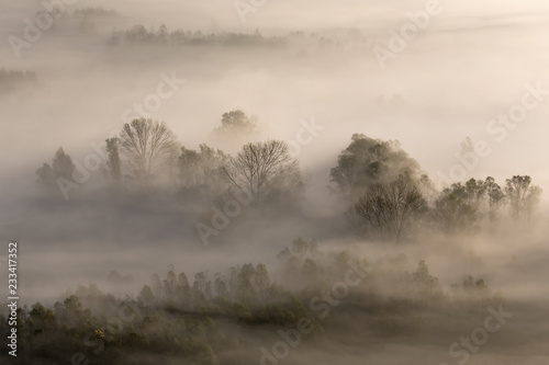 Panorama na mgłowym lesie, Włochy