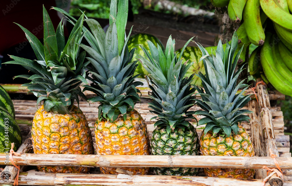 Obraz premium Pineapple on a market in Costa Rica at the Caribbean