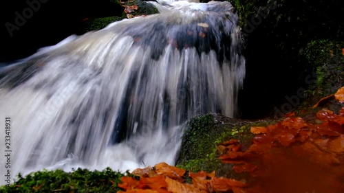 Natural water spring in the forest photo