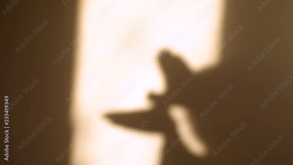The girl in the reflection depicts the heart. The girl casts a shadow on the wall.