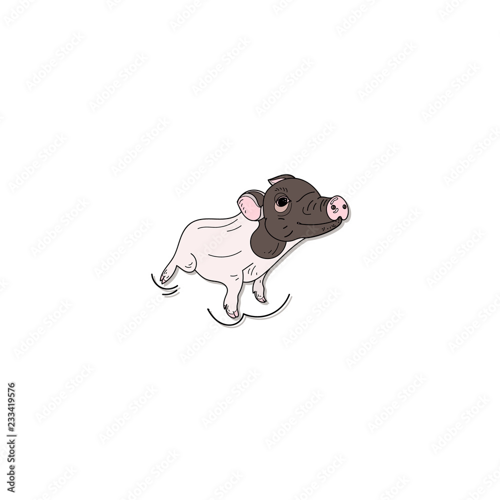 Cute pig isolated on white background. Cute pig isolated on white background.