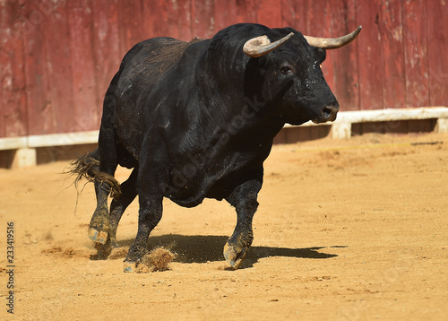 toro español