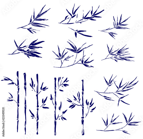 Set of bamboo branches