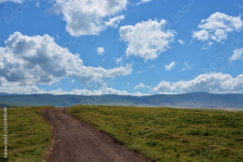 Blue Skies and Green Grass 