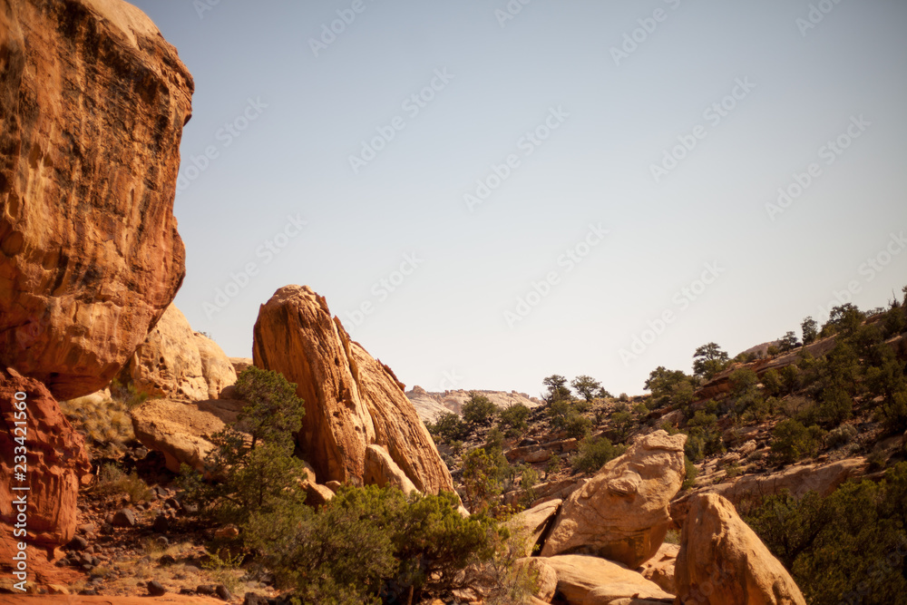 Rocky Desert Trail