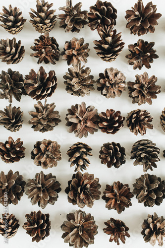 Pine cones pattern. Flat lay, top view.