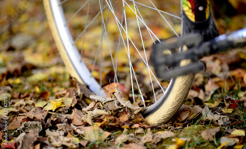 bike wheels, pneumatics on an autumn leaves photo