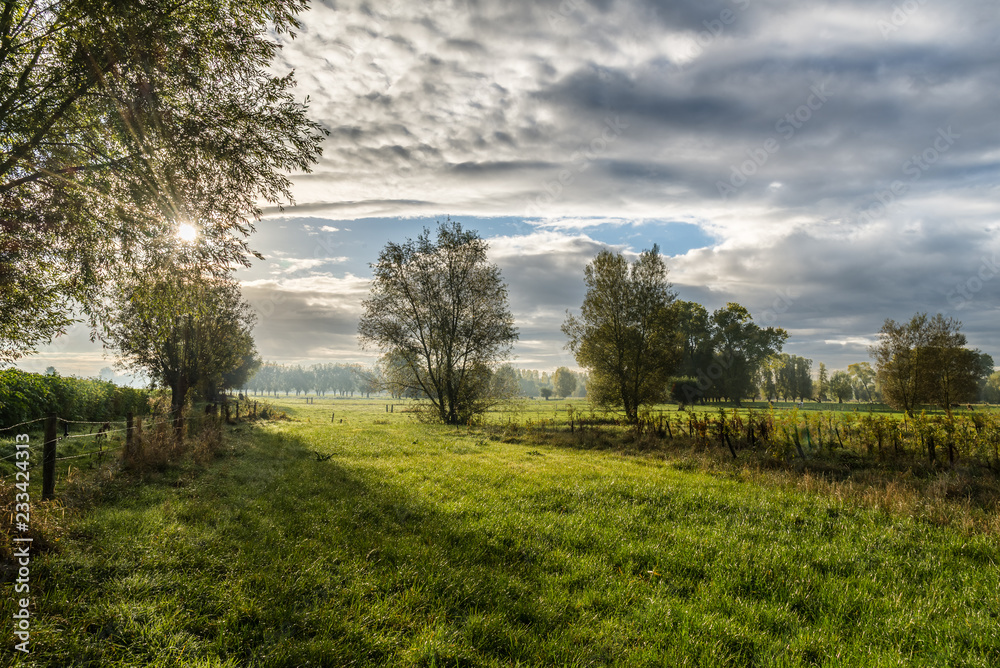 Obraz premium landscape with trees and blue sky