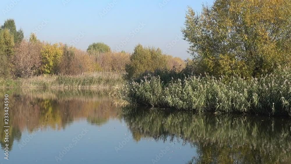 Landscape with forest and river on a sunny day. Golden autumn Landscape with forest and river on a sunny day. Golden autumn