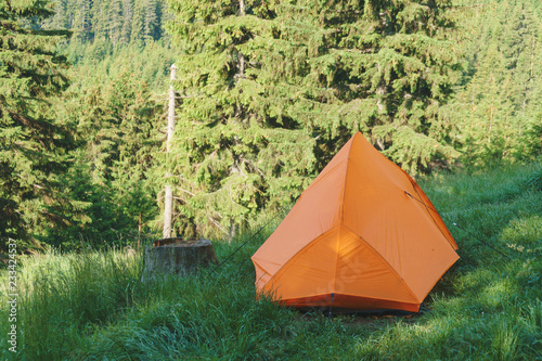 Orange Tent and Stump