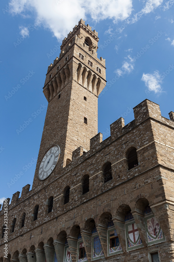 Tower of the Old Palace in Florence 