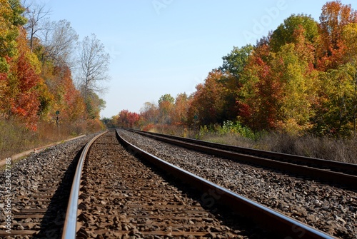 Autumn foliage along railroad tracks