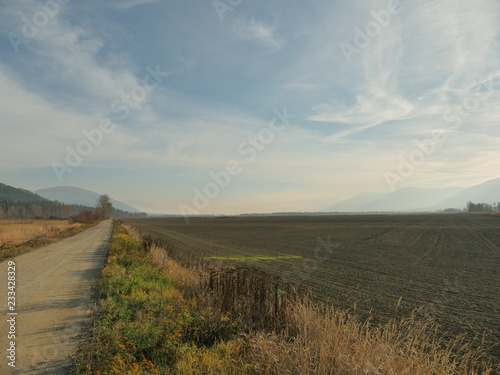 Autumn in the fields 