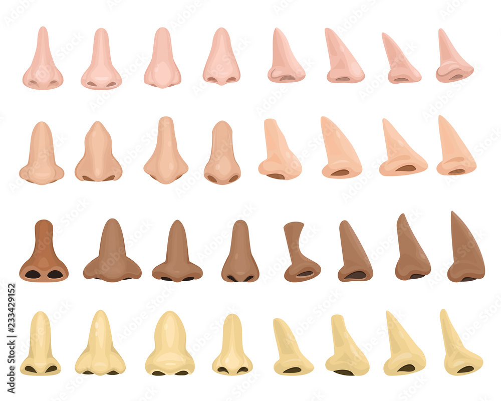 Vetor do Stock: Nose vector human male face part nosey breathing smell  illustration set of anatomy man breathe nosed organ roman-nose snub-nosed  and pug-nosed isolated on white background | Adobe Stock