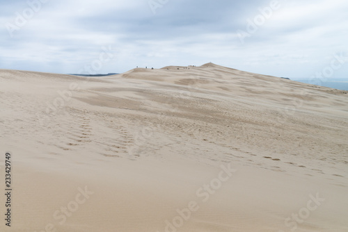 Fototapeta Naklejka Na Ścianę i Meble -  Immensité de sable de la dune du Pilat