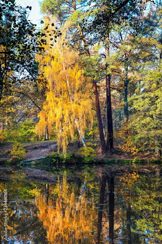 beautiful autumn landscape with lake